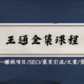 王通全套教程合集（赚钱项目/SEO/裂变引流/文案/营销）