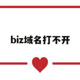 biz域名打不开(域名打不开了)