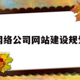 网络公司网站建设规划(网络公司网站建设规划书)