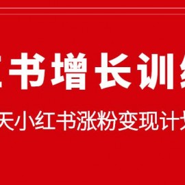 小红书增长训练营，21天小红书涨粉变现计划