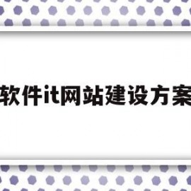 软件it网站建设方案(软件it网站建设方案怎么写)