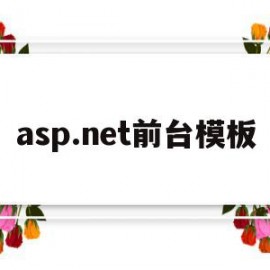 asp.net前台模板(aspnet登录界面前台代码)