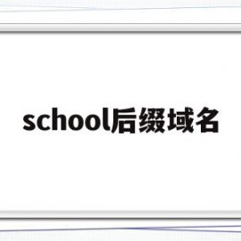 school后缀域名(域名中的后缀edu表示机构所属类型为)