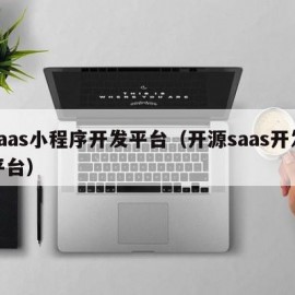 saas小程序开发平台（开源saas开发平台）