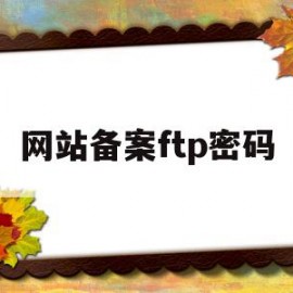 网站备案ftp密码(网站备案ftp密码错误)