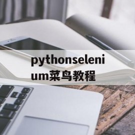 pythonselenium菜鸟教程(selenium 菜鸟教程)