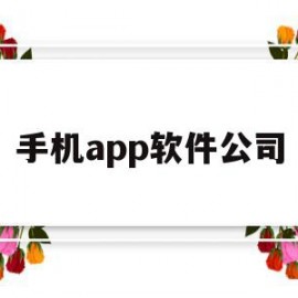 手机app软件公司(app公司是做什么的)