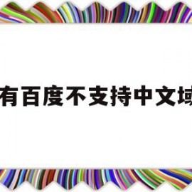 只有百度不支持中文域名(百度现在可以收录中文域名了)