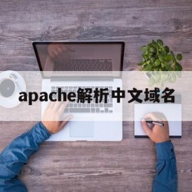 apache解析中文域名(域名解析查询工具)