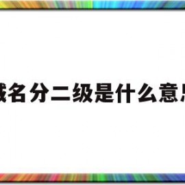 域名分二级是什么意思(域名分二级是什么意思呀)