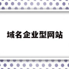 域名企业型网站(域名企业型网站有哪些)