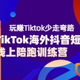 TikTok海外抖音短视频线上陪跑训练营，玩赚Tiktok少走弯路（价值3980）