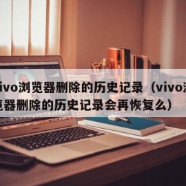 vivo浏览器删除的历史记录（vivo浏览器删除的历史记录会再恢复么）