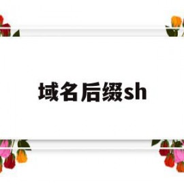 域名后缀sh(域名后缀什么意思)