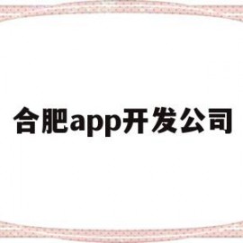 合肥app开发公司(合肥app开发公司十大排名)