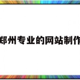 郑州专业的网站制作(郑州网站免费制作)