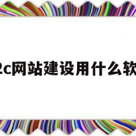 b2c网站建设用什么软件(b2c网站应具备哪些功能?)