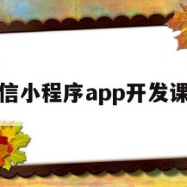 微信小程序app开发课程(微信小程序开发从入门到实战微课视频版pdf)