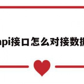 api接口怎么对接数据(api接口怎么接入)