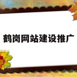 鹤岗网站建设推广(西安网站建设推广服务)