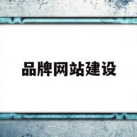 品牌网站建设(品牌网站建设设计)