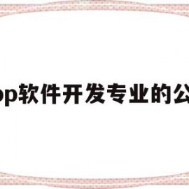 app软件开发专业的公司(国内做app软件开发最好的公司)