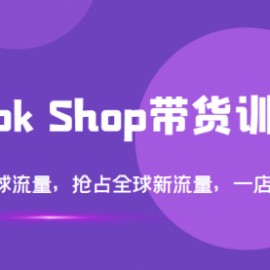 TikTok Shop带货训练营，打开全球流量，抢占全球新流量 一店卖全球(第14期)