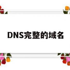 DNS完整的域名(dns域名查询顺序)