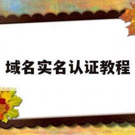 域名实名认证教程(域名实名认证教程下载)