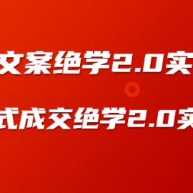 《收钱文案绝学2.0实操版》+《裂变式成交绝学2.0实操版》