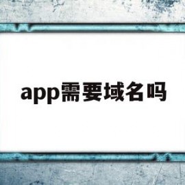 app需要域名吗(app需要域名解析吗)