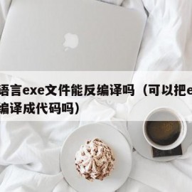 易语言exe文件能反编译吗（可以把exe反编译成代码吗）