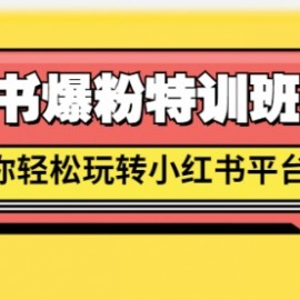 小红书爆粉特训班5.0，助你轻松玩转小红书平台价值1380元