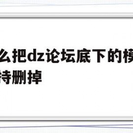 怎么把dz论坛底下的模板支持删掉(怎么把dz论坛底下的模板支持删掉呢)