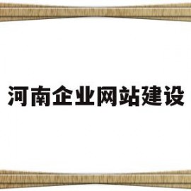 河南企业网站建设(企业网站建设的基本流程)