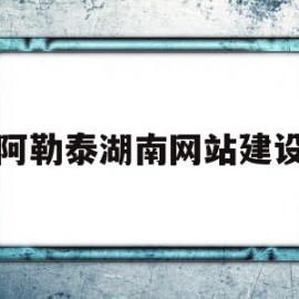 包含阿勒泰湖南网站建设的词条