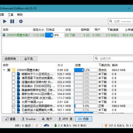 qBittorrent v4.6.3.10 BT下载工具，磁力种子下载工具，便携增强版