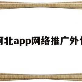 河北app网络推广外包(河北app网络推广外包公司)