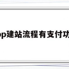 app建站流程有支付功能(app建站流程有支付功能嘛)