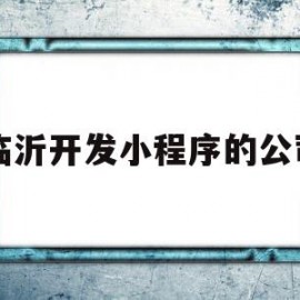 临沂开发小程序的公司(临沂开发小程序的公司排名)