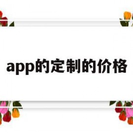 app的定制的价格(app定制的价格开发)