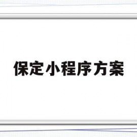 保定小程序方案(保定小程序运营推广公司)