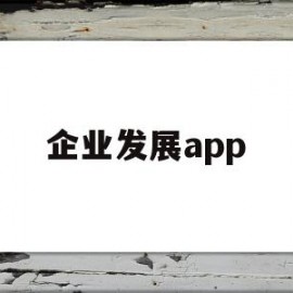 企业发展app(企业发展目标和规划)