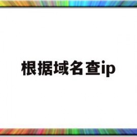 根据域名查ip(根据域名查找计算机)