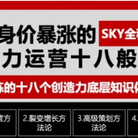 让你的身价暴涨的创造力运营十八般武艺 高度提炼的18个创造力底层知识体系