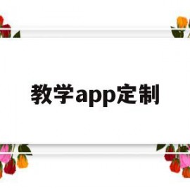 教学app定制(如何制作教学app)