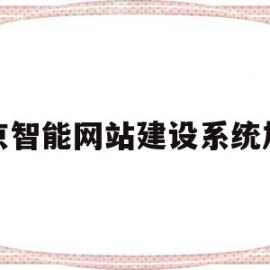 北京智能网站建设系统加盟(智能网北京信息技术有限公司)