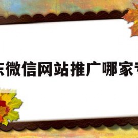 广东微信网站推广哪家专业(广东微信网站推广哪家专业做的好)