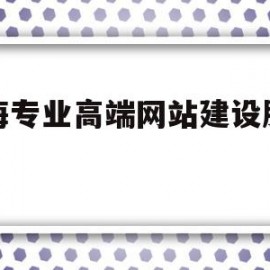 上海专业高端网站建设服务器的简单介绍