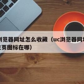 uc浏览器网址怎么收藏（uc浏览器网址收藏主页图标在哪）